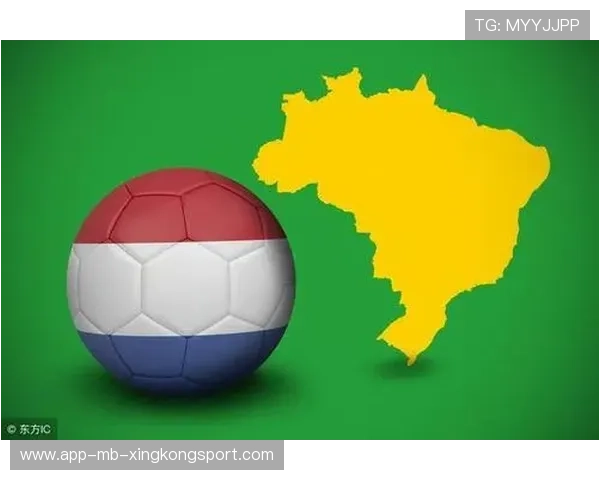 荷兰的分组信息引发国内外媒体的大量报道