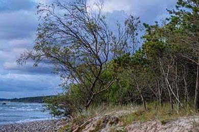 APEX英雄 战队核心选手状态火爆，apex战队排行 2020