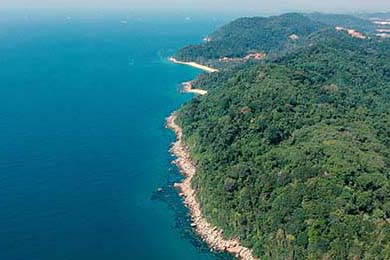 Aster教练组调整计划公布，aster队员介绍